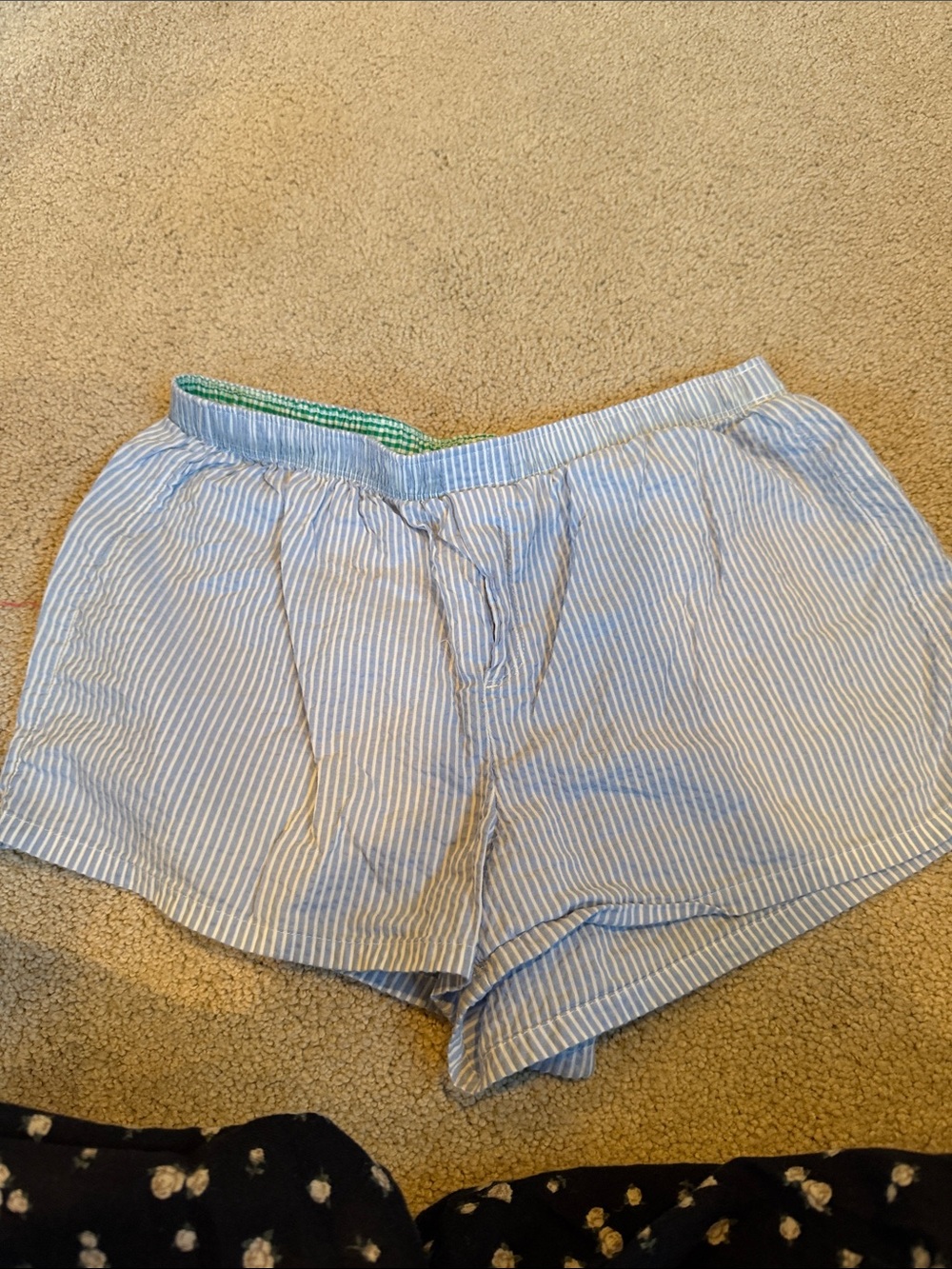 aerie Blue and White Stripe Cotton Sleep Shorts with Green Trim